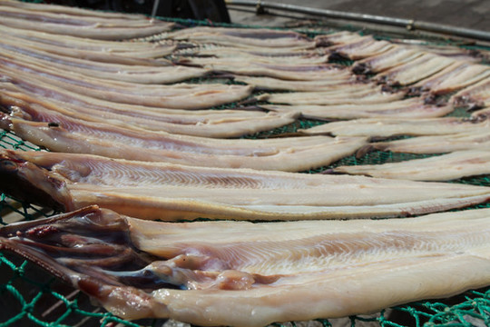 曬魚干