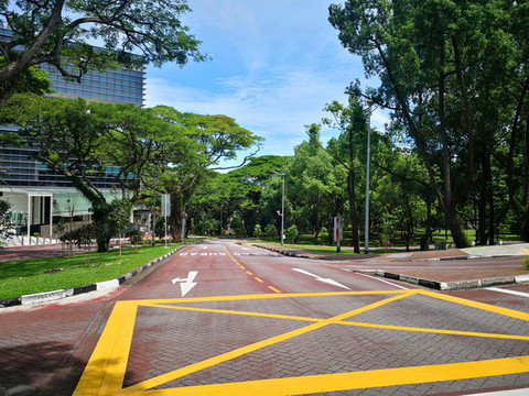 新加坡國立大學(xué)道路
