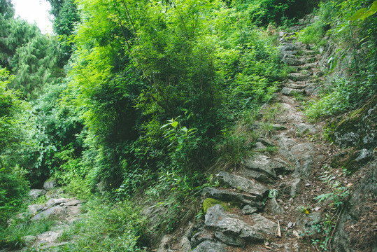 深山的山間石頭小路