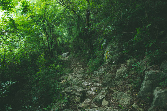 山林中石頭道路