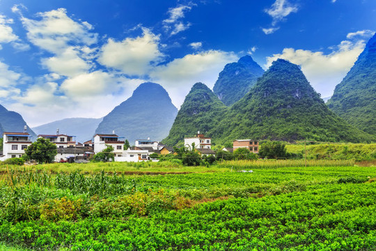 戶外俯瞰農(nóng)田