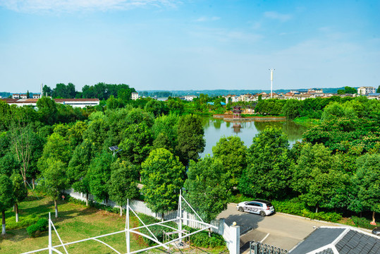 濕地公園