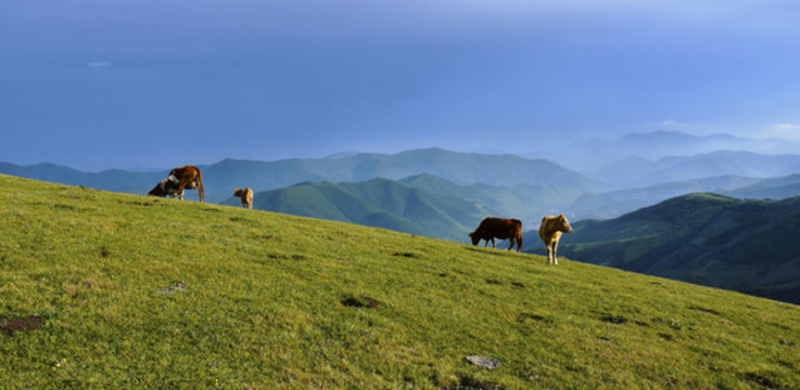 壯美山景