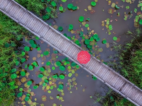 濕地風(fēng)光