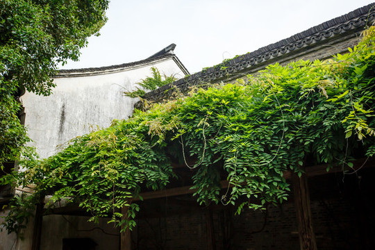 烏鎮(zhèn)街景