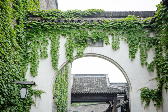 烏鎮(zhèn)街景