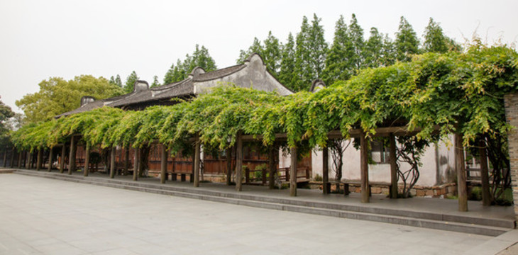 紫藤青年旅館