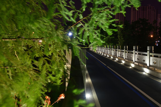 夜橋