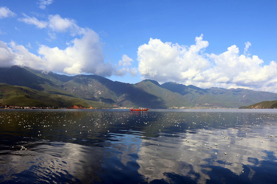 云南瀘沽湖的水性楊花成為夏日旅