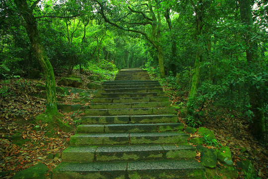 登山