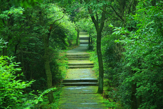 登山