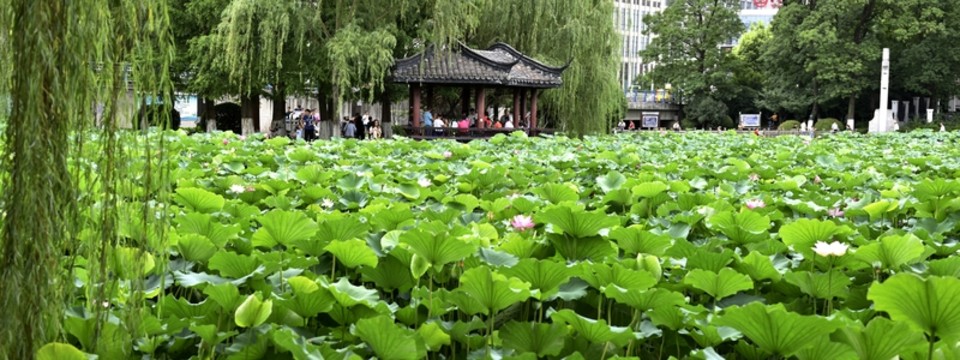 合肥包河景色