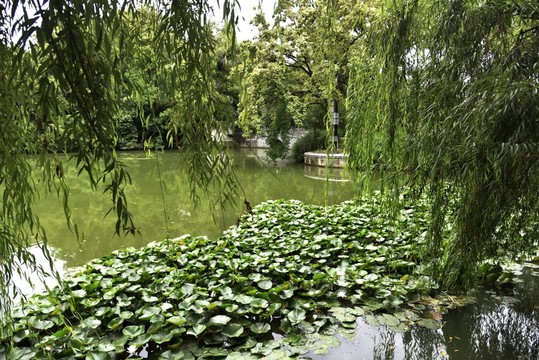 合肥包河景色