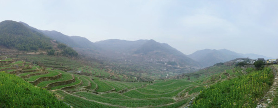 山村梯田