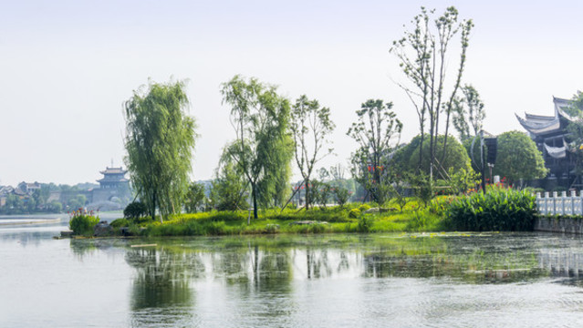 銅官窯古鎮(zhèn)綠韻