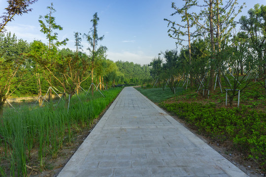 公園風(fēng)光