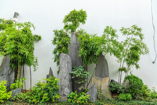 園林景觀植物墻