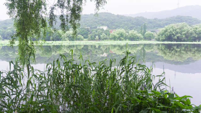 湖畔風情