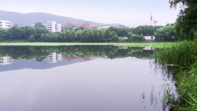 湖畔風貌