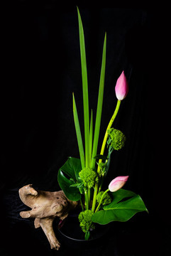 插花藝術(shù)