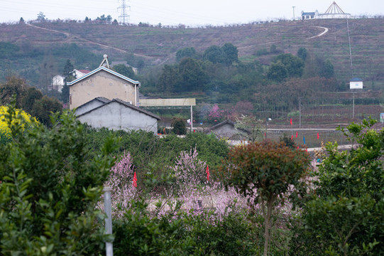 鄉(xiāng)村