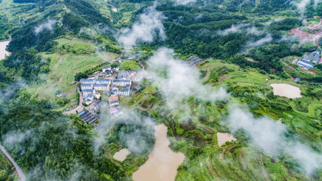 山村新后
