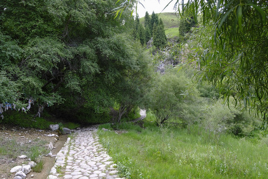 鄉(xiāng)村小路