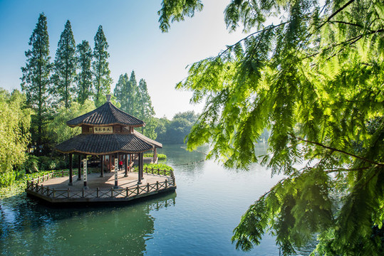 西湖黛色參天