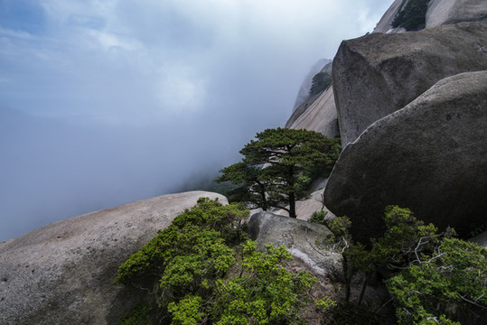 如夢似幻天柱山