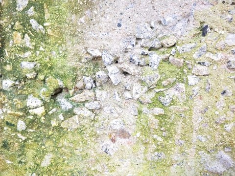 青苔石墻