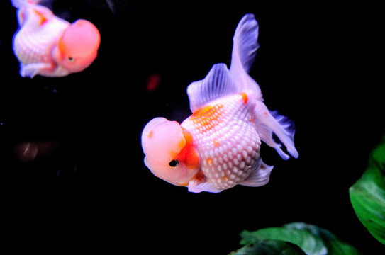 水族館