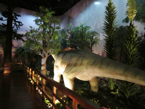 自然博物館展陳
