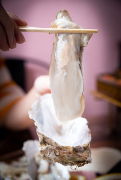 生蠔刺身