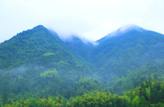 山景