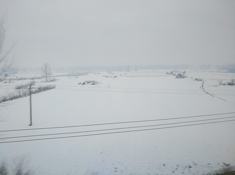 雪原
