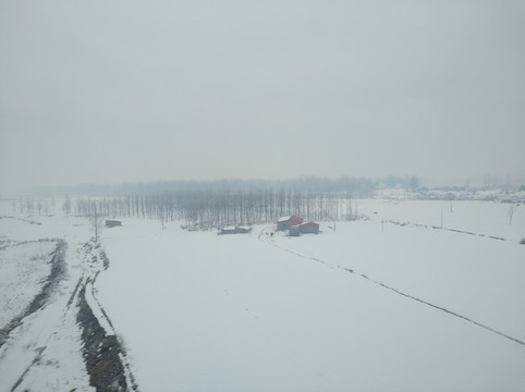雪原