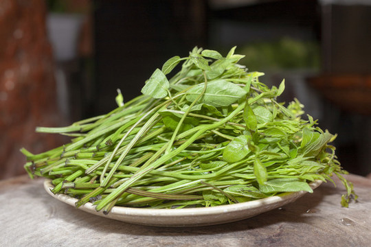 灰條菜野菜