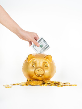 正在往金豬存錢罐中存入美元
