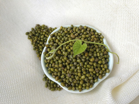 綠豆綠葉