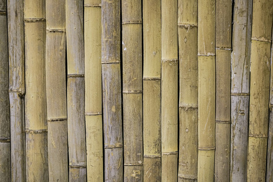 竹竿墻高清大圖