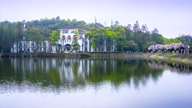 櫻花湖畔