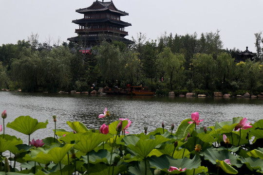 公園