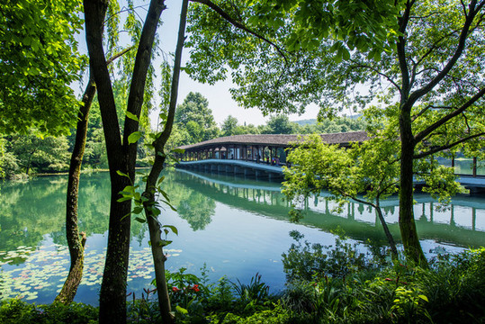 杭州霽虹橋