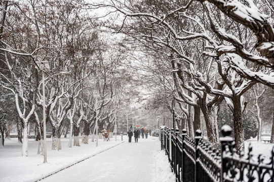 冰雪后的小路