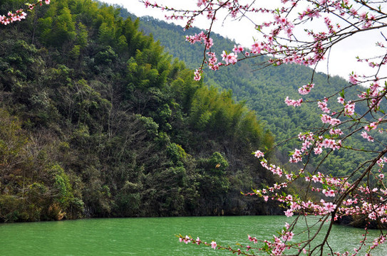 鄉(xiāng)村小河