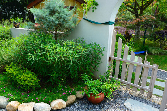 花園綠化裝飾布局