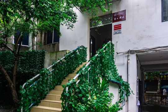植物墻