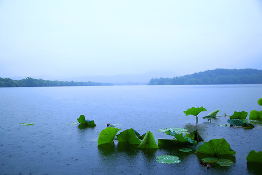 煙雨西湖