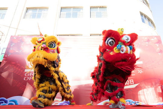 祥獅獻(xiàn)瑞