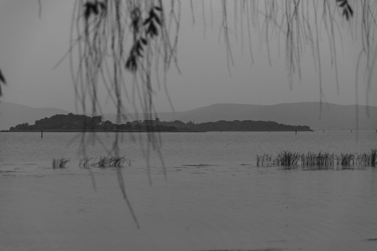 煙雨西湖